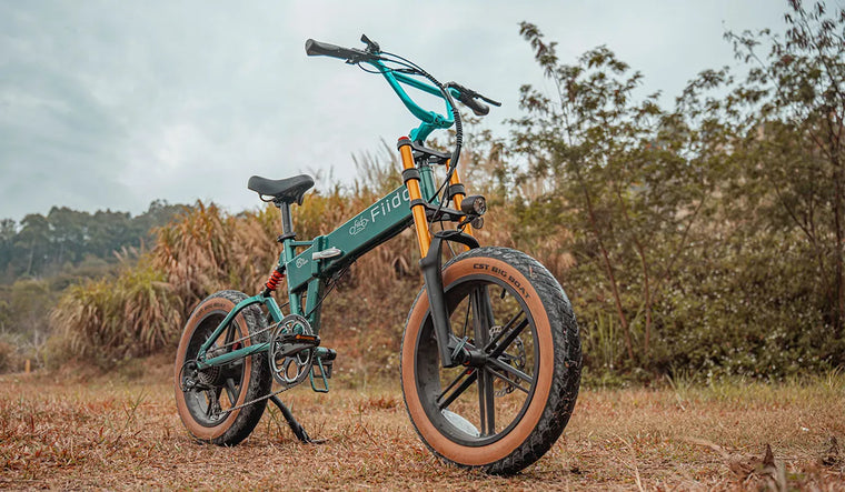 Die linke Seite des verbesserten Fiido M1 Pro-E-Bikes mit fetten Reifen