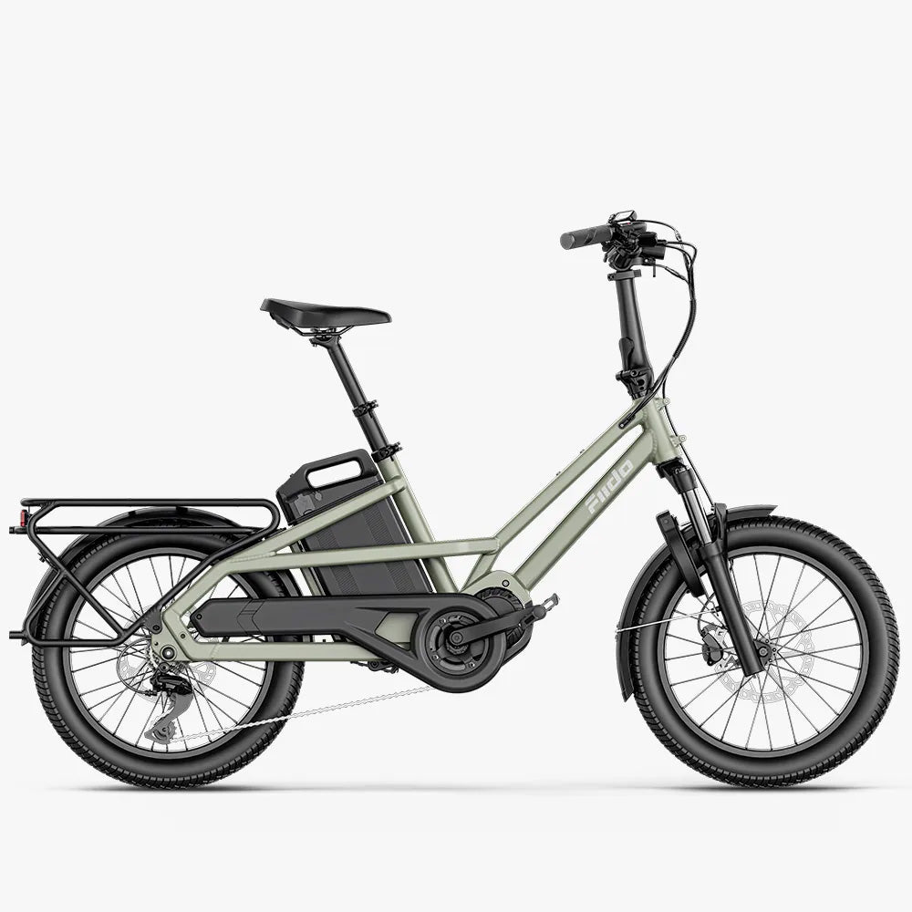 Fiido T3 Urbanes Familien-Lastenrad E-Bike