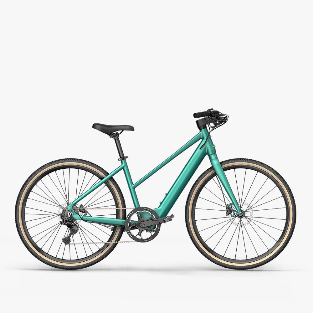 gravel e-bike damen leicht Fiido C22