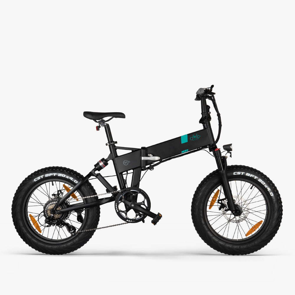 fahrrad denfeld e bike Fiido M21