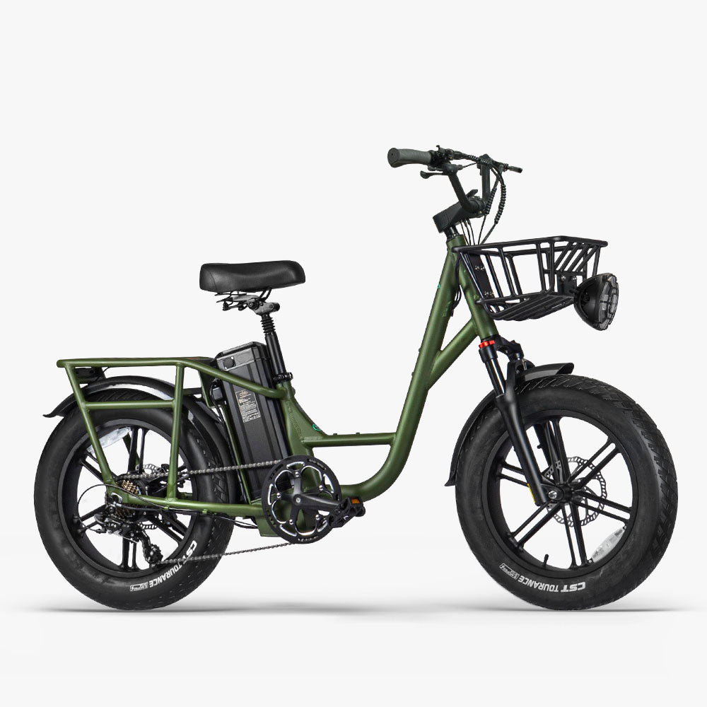 elektrofahrrad mit breiten reifen Fiido T1 Pro
