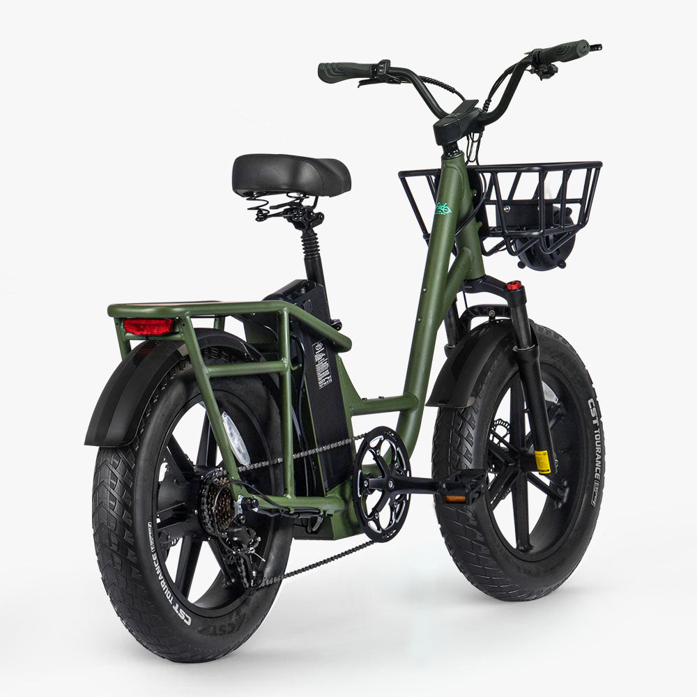 Fiido T1 Pro: Leistungsstarkes Elektro-Lastenrad mit dicken Reifen, Rückansicht