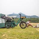 Fiido T2 Long Tail Cargo Elektrofahrrad geparkt auf dem Gras