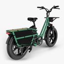 Fiido T2 Long Tail Cargo Elektrofahrrad Grün Rückansicht