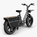 Fiido T2 Long Tail Cargo Elektrofahrrad Schwarz Rückansicht