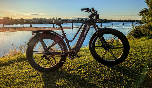 Fiido Titan Elektrofahrrad am See geparkt