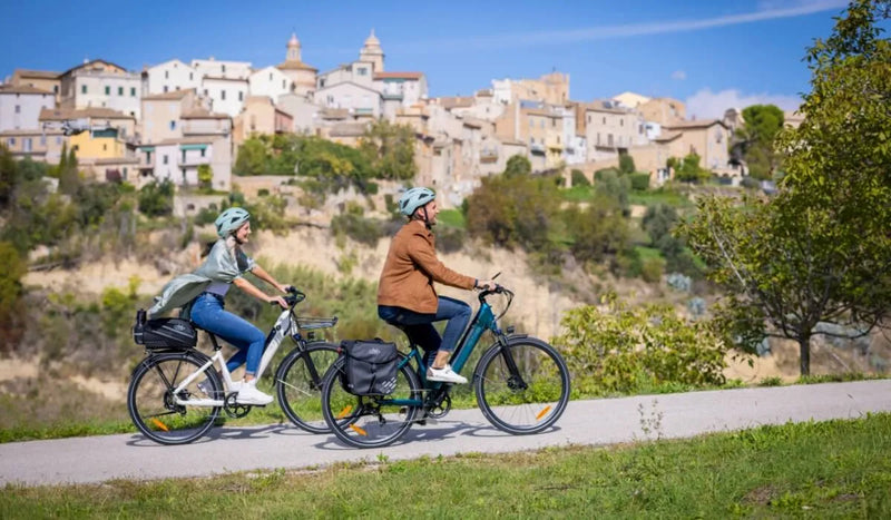 Warum fährt mein E-Bike selbstständig rückwärts?