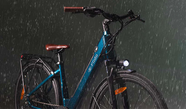 Fiido C11Pro Elektrofahrrad Regen Testbild