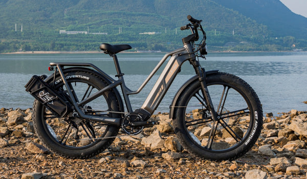 Fiido E-Bike Innovationen: Vorstellung der neuesten technologischen Fortschritte