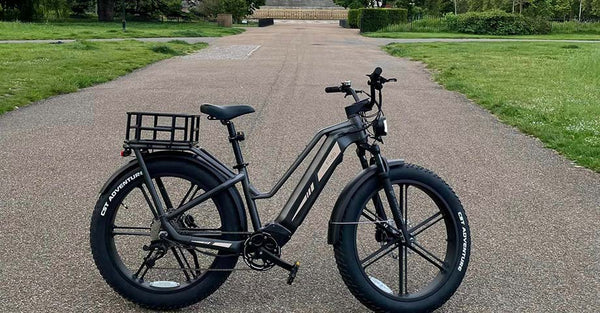 Fiido Titan Elektrofahrrad auf der Landstraße