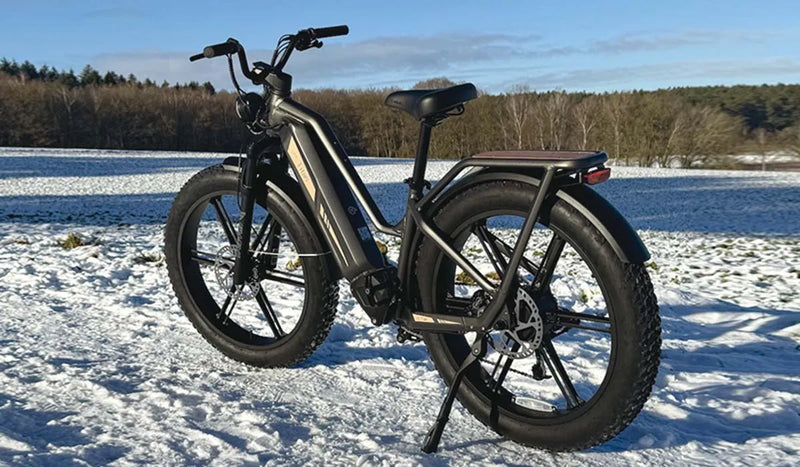 Fiido Titan Elektrofahrrad im Schnee geparkt