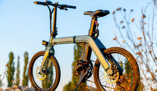 Fiido D11 Elektrofahrrad auf den Felsen geparkt