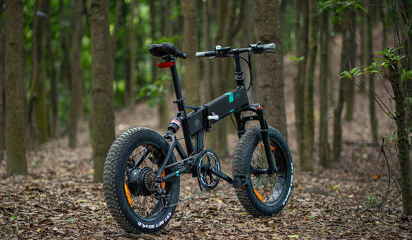 Fiido M1 Pro Elektrofahrrad im Wald geparkt