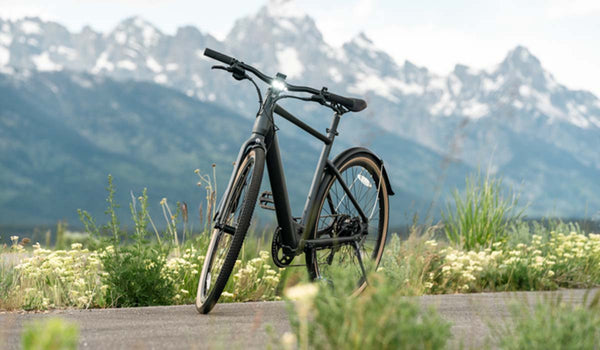 Fiido C21 Elektrofahrrad vor majestätischer Bergkulisse.