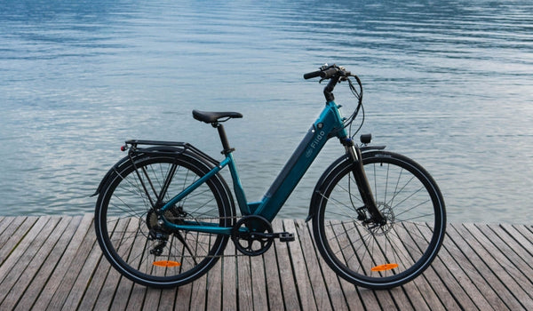 Ein leichter Elektrofahrrad Fiido C11 Pro wurde vorübergehend am See abgestellt.