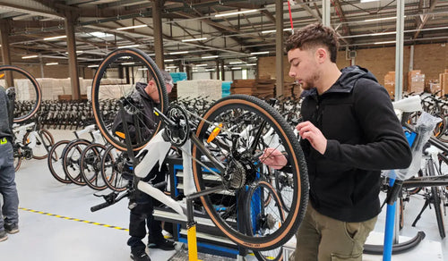 Fiido E-Bike Branchenanalyse