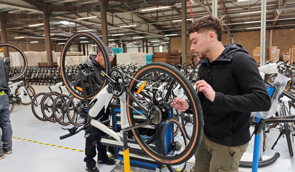 Fiido E-Bike Branchenanalyse