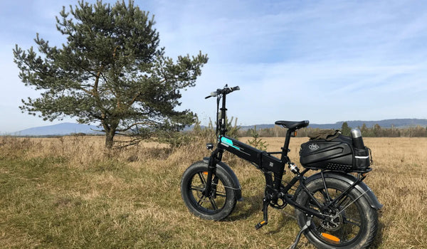 Fiido M1 Pro ist auf einem grasbewachsenen Berggelände neben einem großen Baum geparkt.