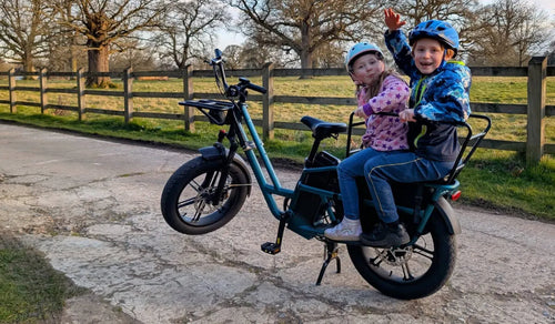 fiido-T2-ebike-two-seater