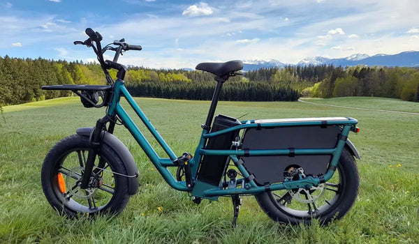 Fiido T2 Elektrofahrrad mit robustem Rahmen, ideal für den Outdoor-Einsatz.