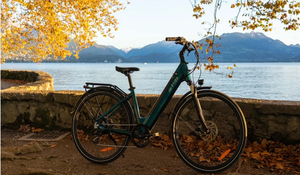 E-Bike-Rahmen: Aluminium vs. Stahl vs. Carbon vs. Titan