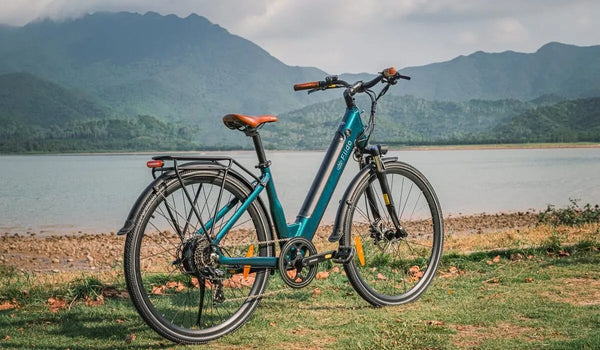 Ein Fiido C11 Pro Elektrofahrrad steht vorübergehend am Seeufer.