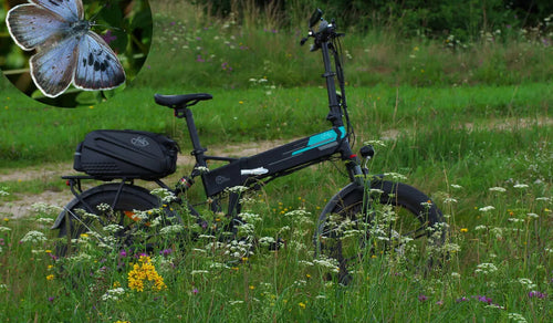 Ein Fiido M1 Pro Fat-Tire E-Bike wurde vorübergehend ins Gras gestellt.