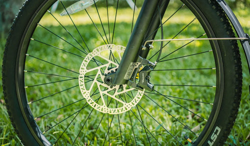 Speiche am Reifen des Fiido Nomads Touring E-Bikes