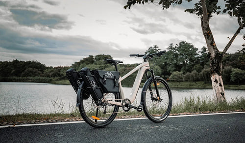 Fiido Nomads Touren-E-Bike am See geparkt