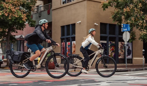 Fiido Nomads Test: Langstrecken-Touren-E-Bike von Netzwelt getestet