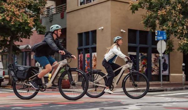Fiido Nomads Test: Langstrecken-Touren-E-Bike von Netzwelt getestet