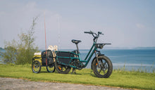 Fiido T2 Longtail-Elektrofahrrad am See geparkt