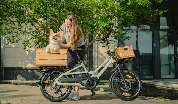 Fiido T3 E-Lastenrad beim Transport eines Haustiers
