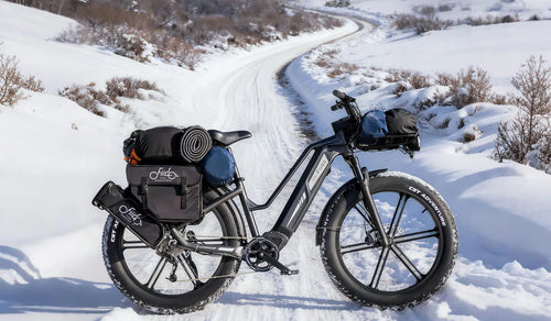 Ein Fiido Titan Jagd-E-Bike im Schnee platziert.