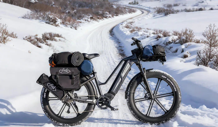 Ein Fiido Titan E-Bike mit Fat Tires im Schnee abgestellt.
