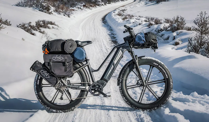 Fiido Titan Elektrofahrrad auf dem Schnee geparkt