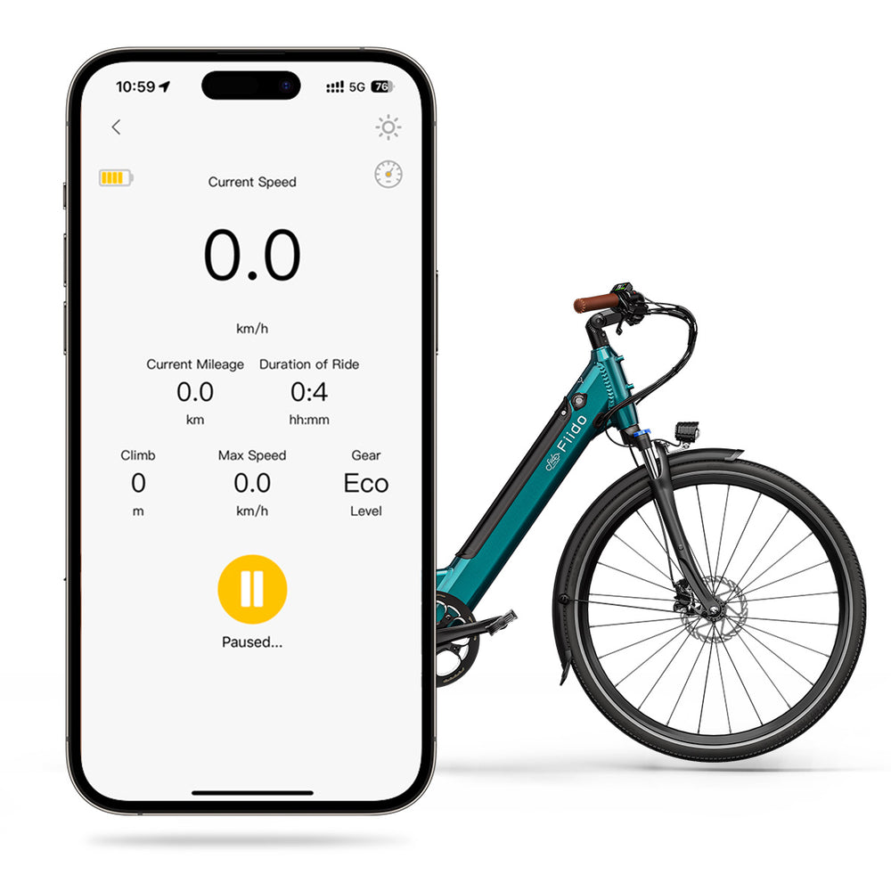 Fiido C11 Pro Leichtes Urban E-Bike