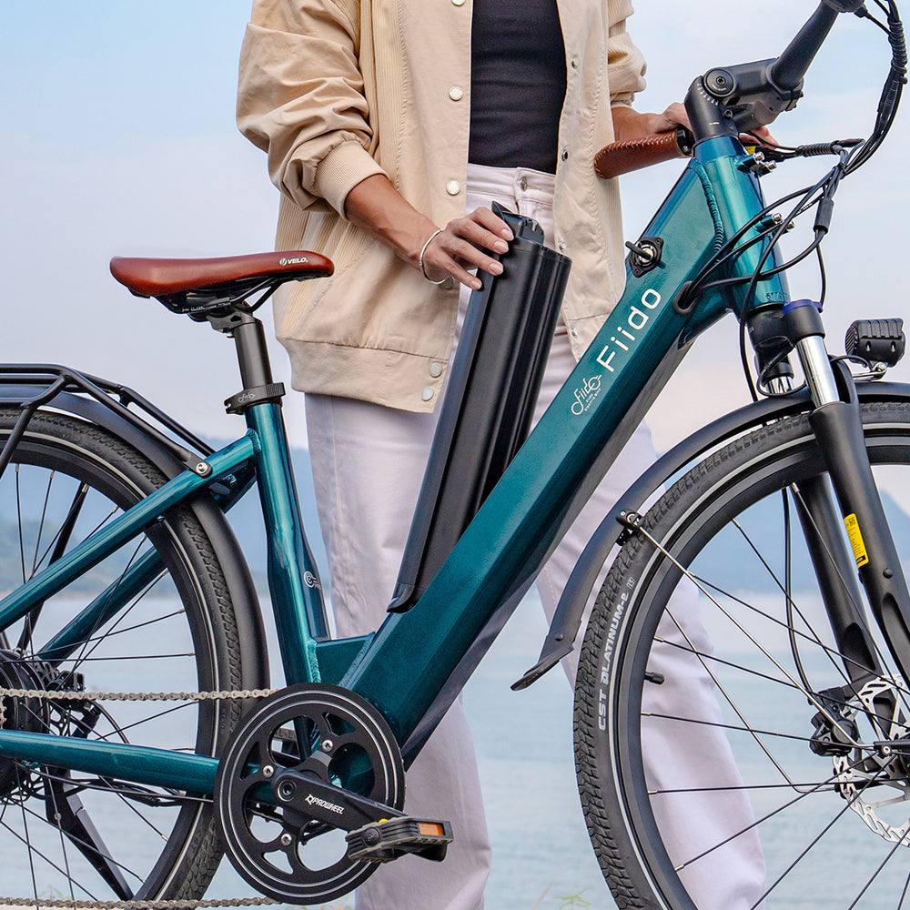 Fiido C11 Pro Leichtes Urban E-Bike