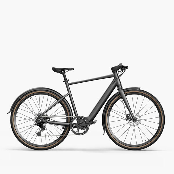 Fiido C21 E-Gravel & City E-Bike