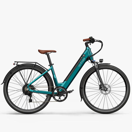 Fiido C11 Pro Leichtes Urban E-Bike