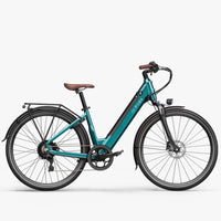 Fiido C11 Pro Leichtes Urban E-Bike