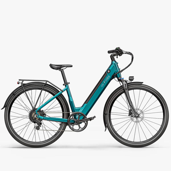 Fiido C11 Leichtes Urban E-Bike