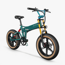 Fiido M1 Pro Fatbike E-Bike