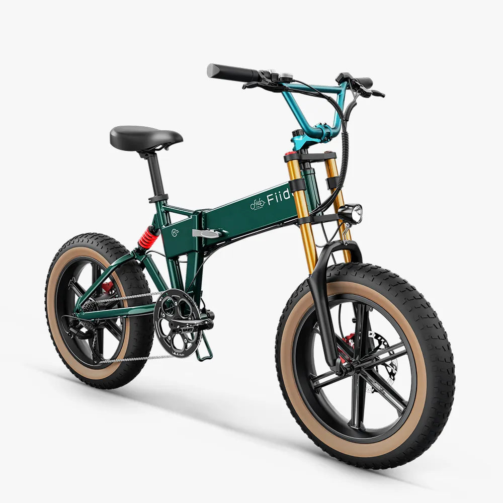 Fiido M1 Pro Fatbike E-Bike