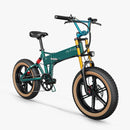 Fiido M1 Pro Fatbike E-Bike