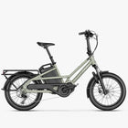 Fiido T3 Urbanes Familien-Lastenrad E-Bike