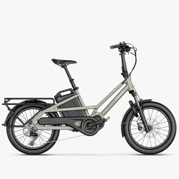 Fiido T3 Urbanes Familien-Lastenrad E-Bike