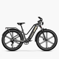 Titan Fat Tire Jagd- und Touren-E-Bike - Große Reichweite