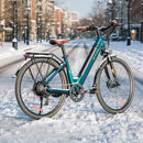 Fiido C11 Pro Leichtes Urban E-Bike