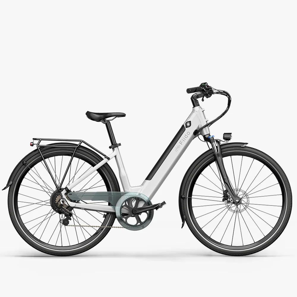 Fiido C11 Leichtes Urban E-Bike